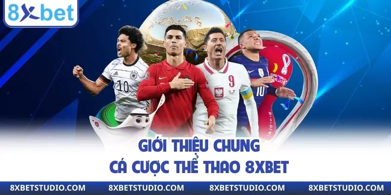 Giới thiệu chung cá cược thể thao 8XBET