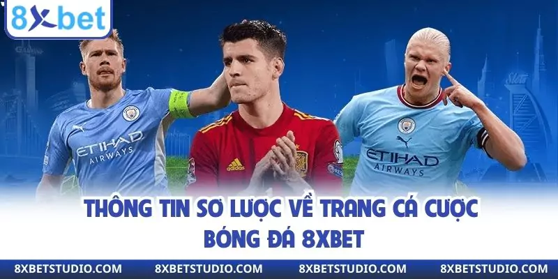 Thông tin sơ lược về trang cá cược bóng đá 8XBET