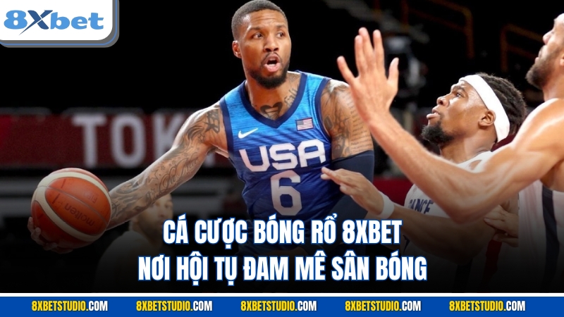 Cá cược bóng rổ 8XBET