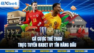 Cá Cược Thể Thao Trực Tuyến 8XBET