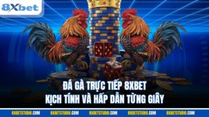 Đá gà trực tiếp 8XBET