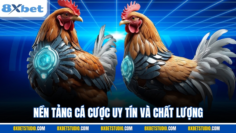 Nền tảng cá cược uy tín và chất lượng