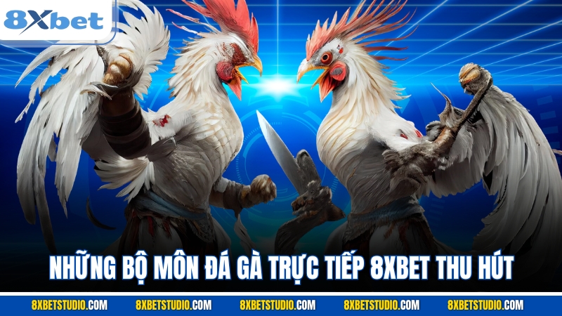 Những bộ môn đá gà trực tiếp 8XBET thu hút