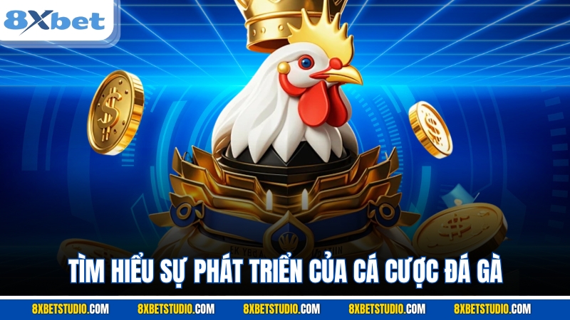 Tìm hiểu sự phát triển của cá cược đá gà